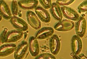 Laboratorijas testi